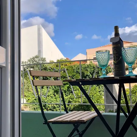 Modern Center 托里什韦德拉什